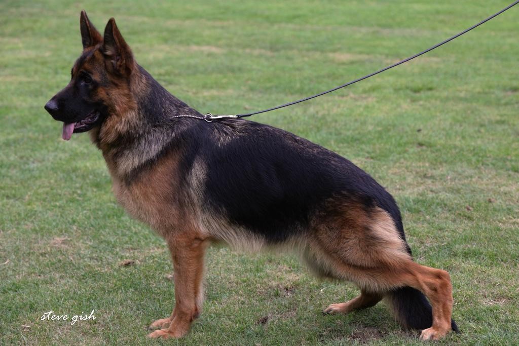 Ophelie Du val de la houée